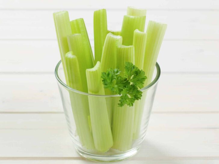 can dogs eat celery