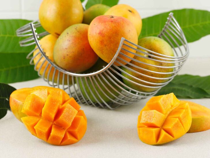 can dogs eat mango
